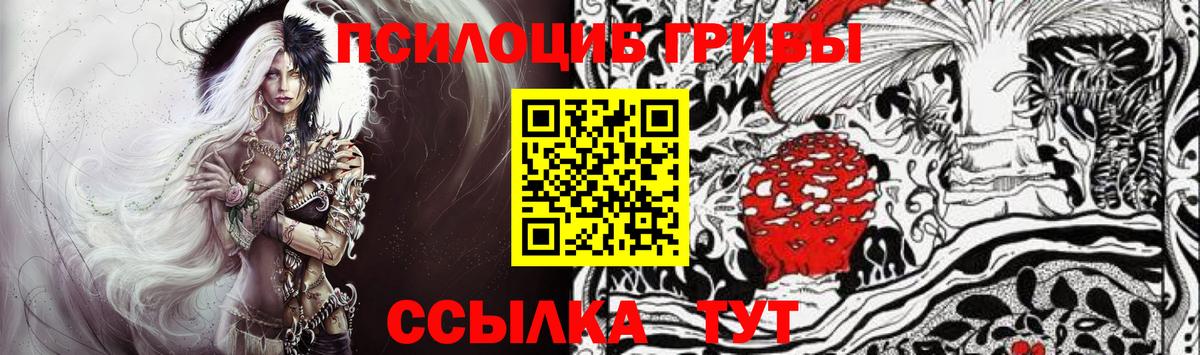 где купить наркотик  Псилоцибиновые грибы Cubensis  Кингисепп  Вход с VPN  Галлюциногенные грибы прущие грибы 